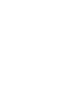 Hary Vincent Logo