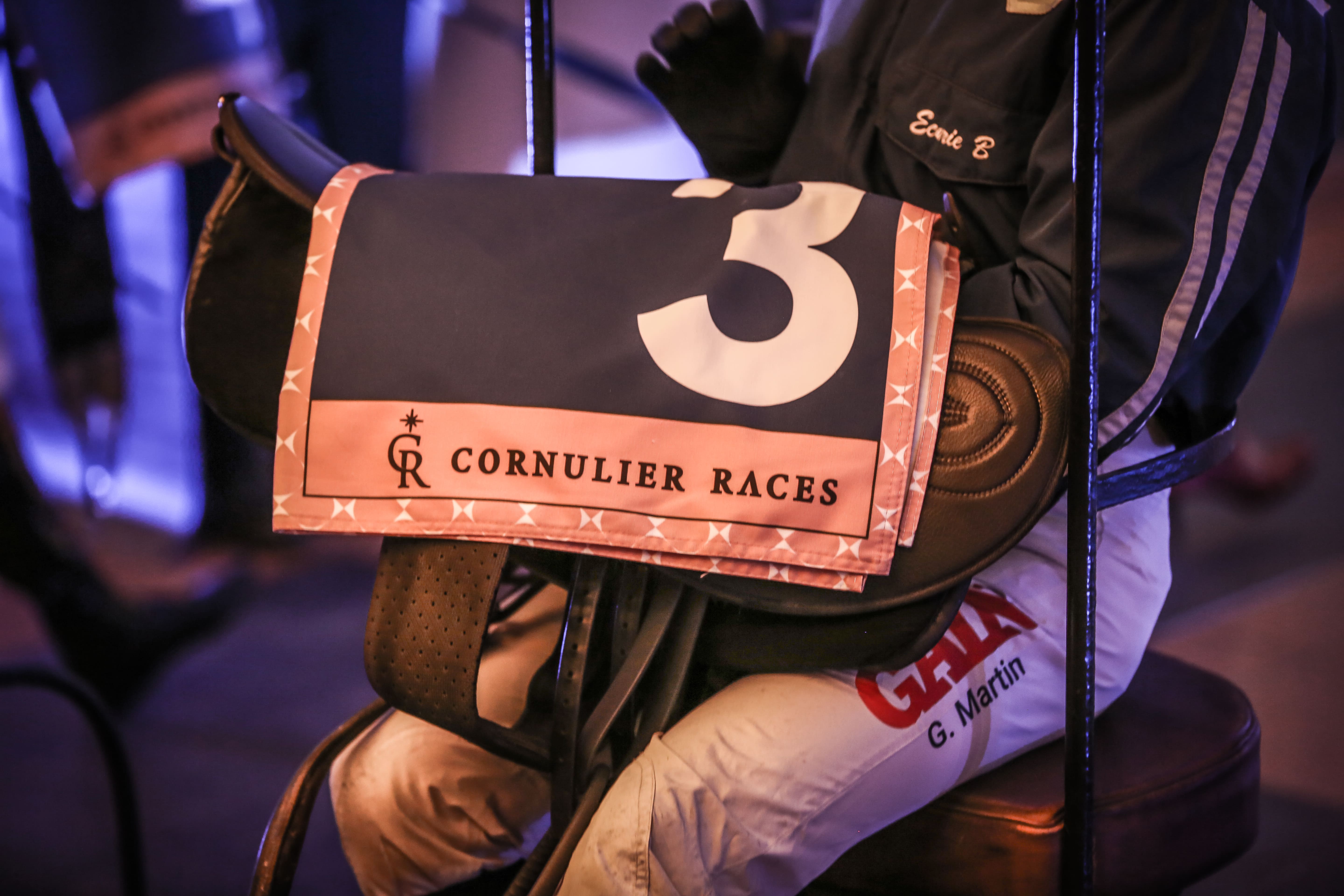 Hary Vincent - Sport / E-sport / Web3  Designer | Cornulier Races